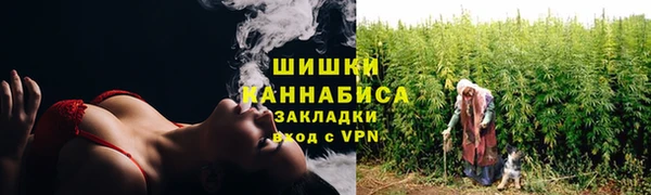 тгк Мегион