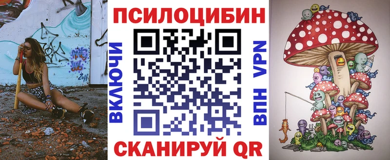 Галлюциногенные грибы Psilocybe  Купить закладки  Грязовец 